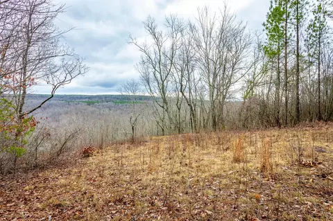 0 Split Rail Way, Guild, TN 37340 photo 8