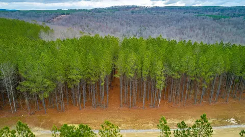0 Split Rail Way, Guild, TN 37340 photo 67