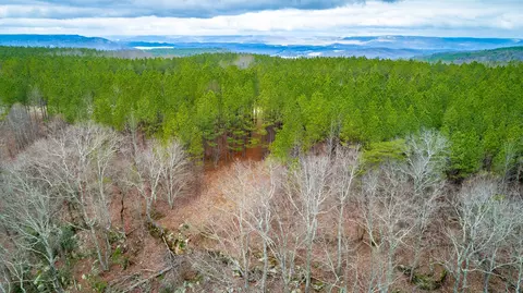 0 Split Rail Way, Guild, TN 37340 photo 63