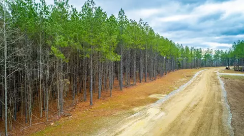 0 Split Rail Way, Guild, TN 37340 photo 65