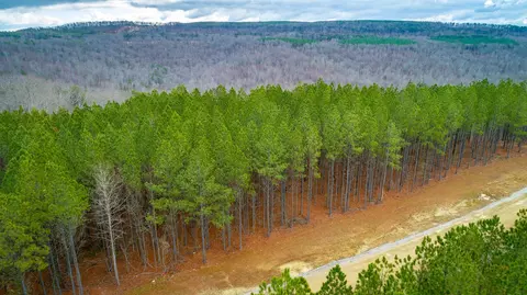 0 Split Rail Way, Guild, TN 37340 photo 68