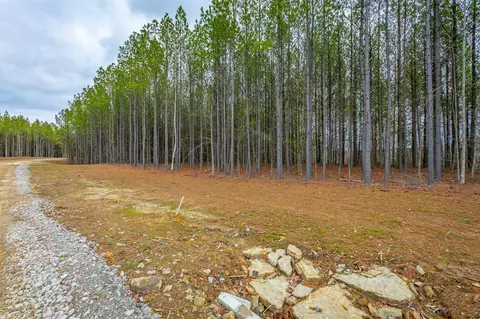 0 Split Rail Way, Guild, TN 37340 photo 20
