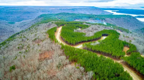 0 Split Rail Way, Guild, TN 37340 photo 43
