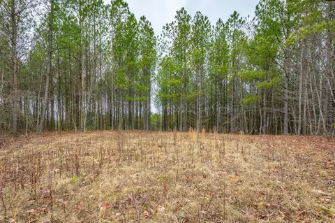 0 Split Rail Way, Guild, TN 37340 photo 14