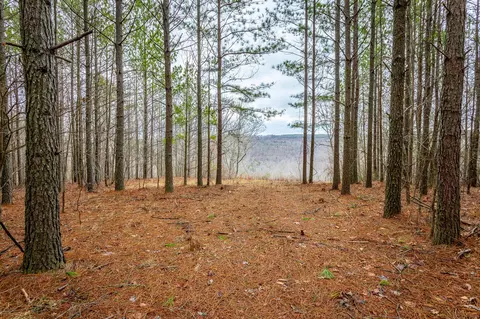 0 Split Rail Way, Guild, TN 37340 photo 11