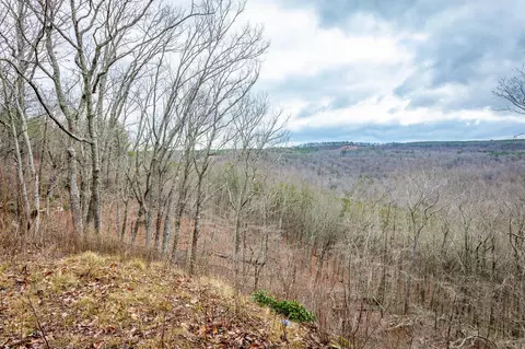 0 Split Rail Way, Guild, TN 37340 photo 6