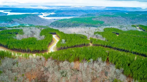 0 Split Rail Way, Guild, TN 37340 photo 47