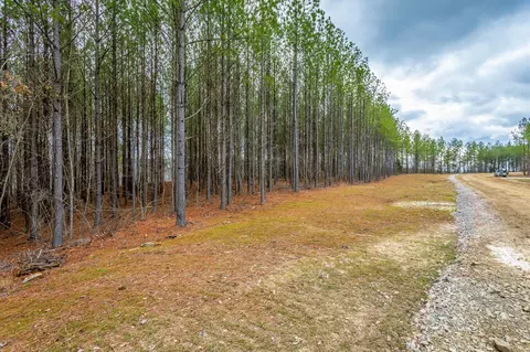 0 Split Rail Way, Guild, TN 37340 photo 27