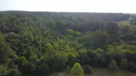 3 Harrison Rd, Five Points, TN 38457 photo 50