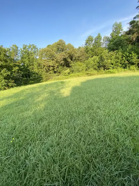 Other - 972 Fall River Rd, Goodspring, TN 38460 photo 4 of 10