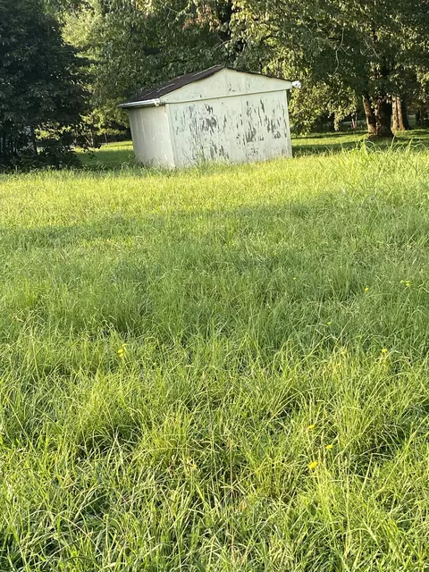 Other - 972 Fall River Rd, Goodspring, TN 38460 photo 5 of 10