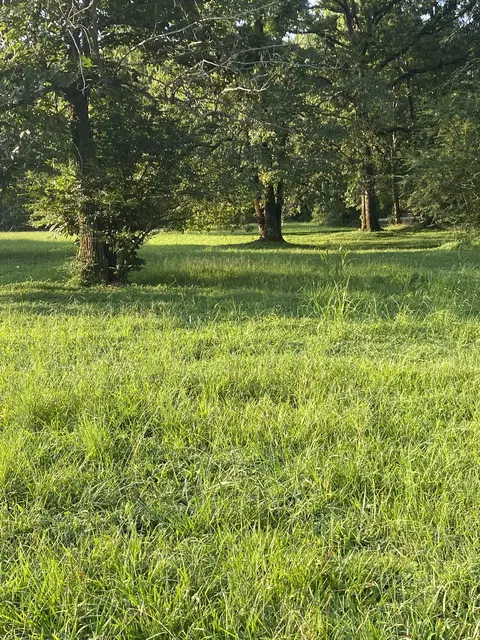 Other - 972 Fall River Rd, Goodspring, TN 38460 photo 6 of 10