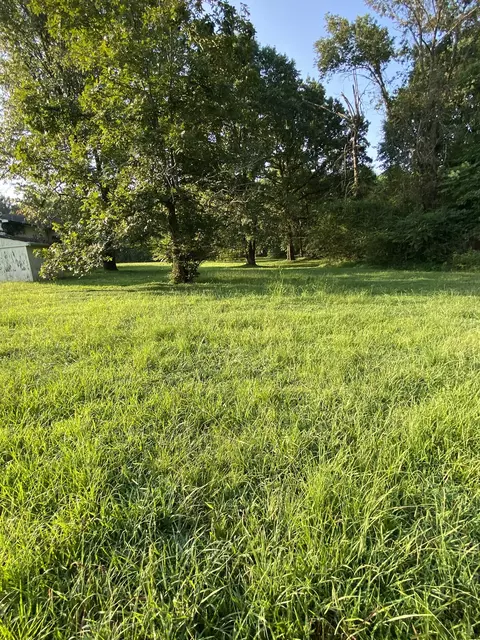 Exterior - 972 Fall River Rd, Goodspring, TN 38460 photo 11 of 13