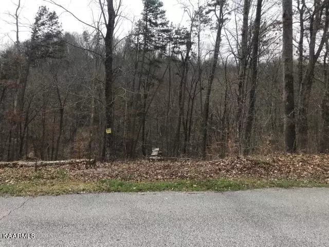  0 Sawmill Cv, Rockwood, TN 37854 photo 3