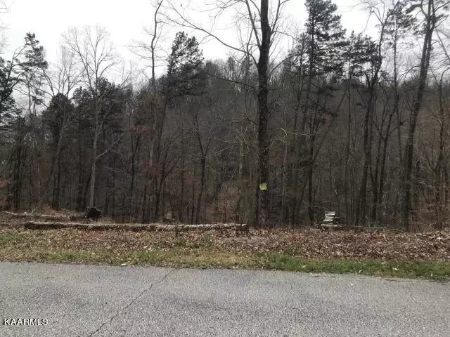  0 Sawmill Cv, Rockwood, TN 37854 photo 2