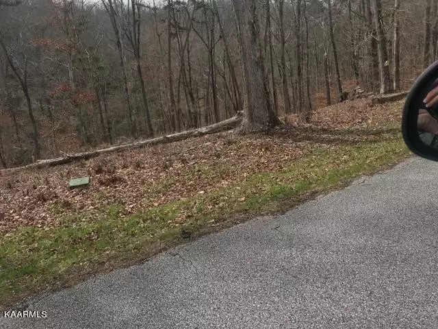 0 Sawmill Cv, Rockwood, TN 37854 photo 6