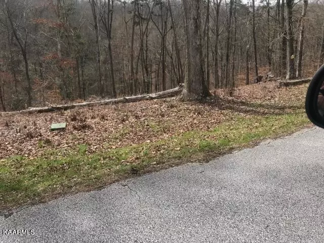  0 Sawmill Cv, Rockwood, TN 37854 photo 5