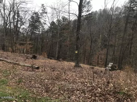 0 Sawmill Cv, Rockwood, TN 37854