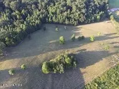 115 Hicks Ln, Rockwood, TN 37854