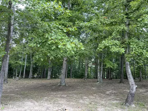 171 Dakota Tr, Rockwood, TN 37854