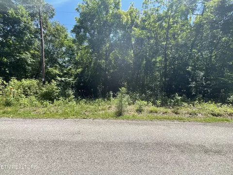 0 Spruce Dr, Spring City, TN 37381