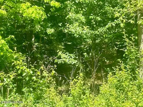 0 Pine Crest Dr, Kingston, TN 37763