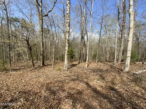 0 Rendezvous Road Lot #21, Rockwood, TN 37854