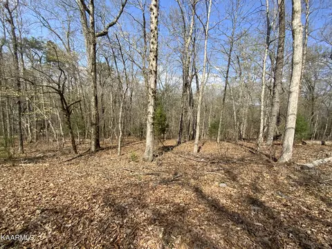 0 Rendezvous Road Lot #22, Rockwood, TN 37854