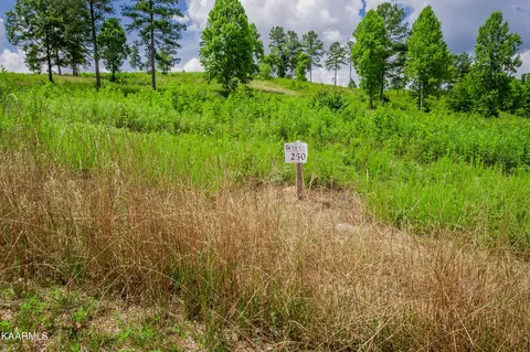 213 Lake Ferry Dr, Loudon, TN 37774