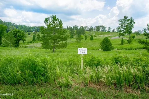 204 Lake Ferry Dr, Loudon, TN 37774