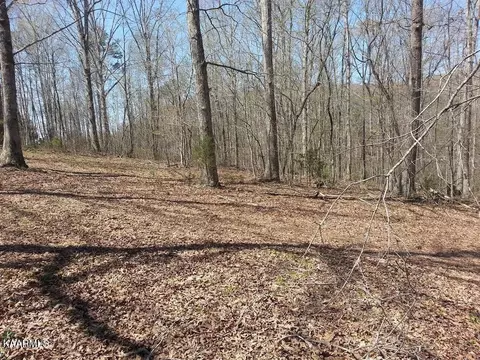 0 Lot 1 Bill West Dr, Ten Mile, TN 37880