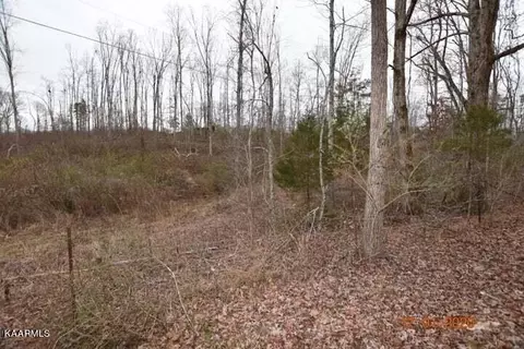 0 Lot 4 Maple Grove Rd, Ten Mile, TN 37880