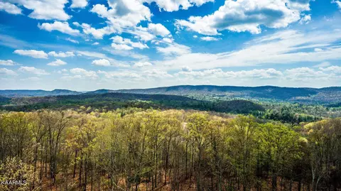 313 Country Wood Pl, Harriman, TN 37748