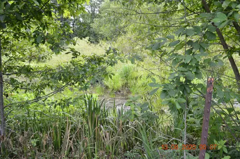 1234 Franklin Loop, Clarkrange, TN 38553 photo 20