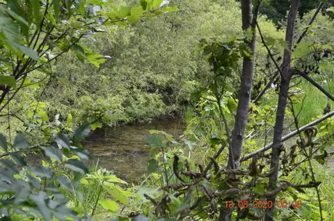 1234 Franklin Loop, Clarkrange, TN 38553 photo 22