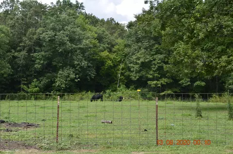 1234 Franklin Loop, Clarkrange, TN 38553 photo 25