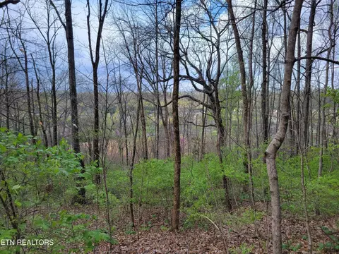 1127 Rifle Range Dr, Knoxville, TN 37918