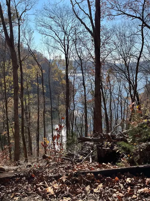 1490 Ford Rd, Baxter, TN 38544 photo 3