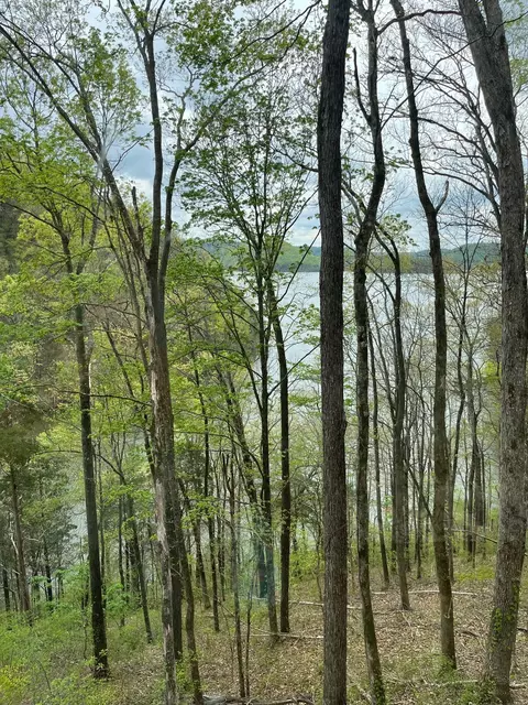 1490 Ford Rd, Baxter, TN 38544 photo 2