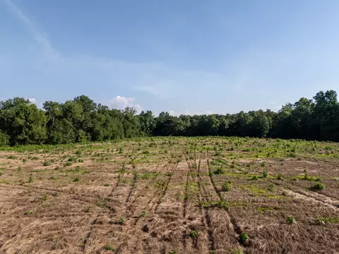 0 Bertha Owen Rd, Morrison, TN 37357 photo 17