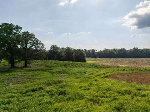 0 Bertha Owen Rd, Morrison, TN 37357 photo 3