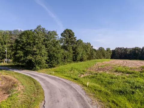 0 Bertha Owen Rd, Morrison, TN 37357 photo 19