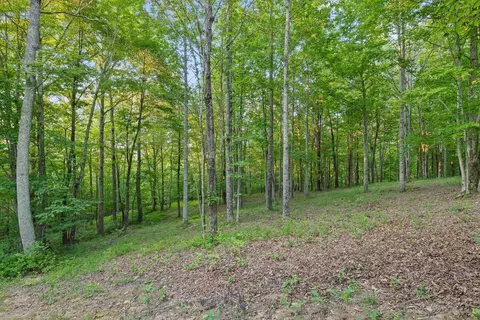 Exterior - 103 Turkey Trl, Dunlap, TN 37327 photo 26 of 42
