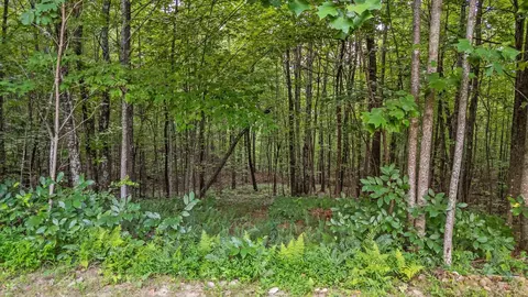 Exterior - 103 Turkey Trl, Dunlap, TN 37327 photo 30 of 42