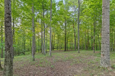Exterior - 103 Turkey Trl, Dunlap, TN 37327 photo 27 of 42