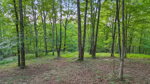 Exterior - 103 Turkey Trl, Dunlap, TN 37327 photo 29 of 42