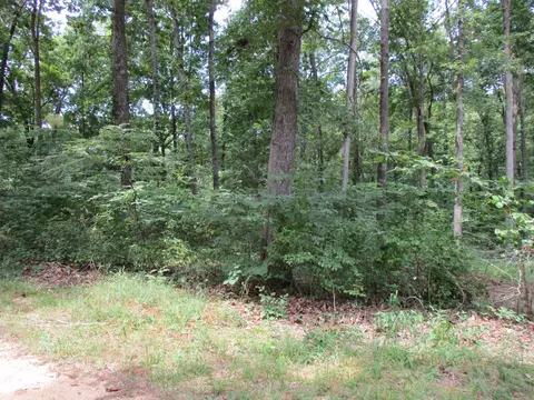 43 Franks Loop, Scotts Hill, TN 38374
