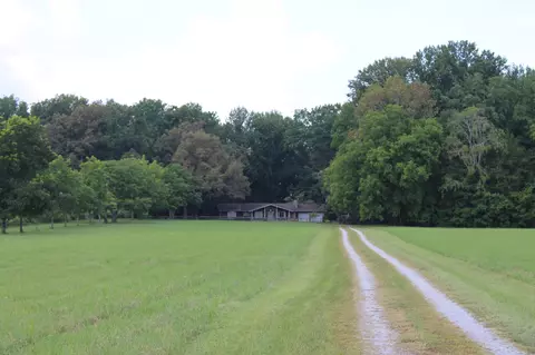 Exterior - 200 Primrose Ln, Morrison, TN 37357 photo 11 of 19