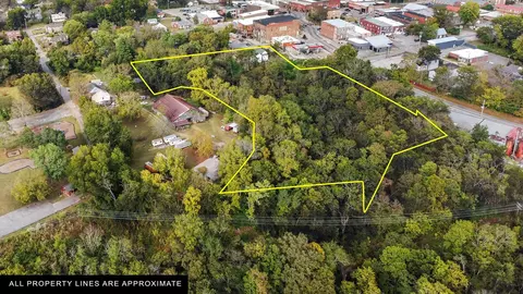View/Area - 105 Webb St, Centerville, TN 37033 photo 6 of 22