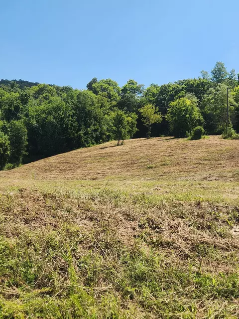 0 Hix Rd, Gordonsville, TN 38563